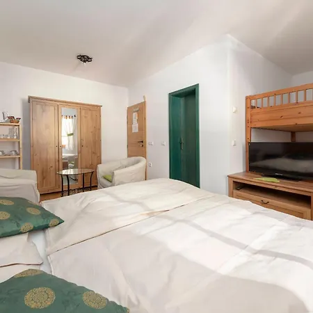 Hisa Ojstrica Bed & Breakfast Solcava Exterior photo