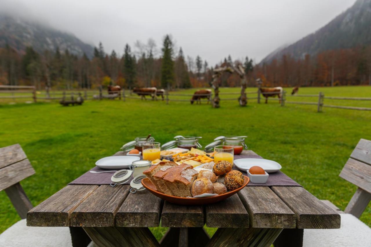 Bed & Breakfast Hisa Ojstrica